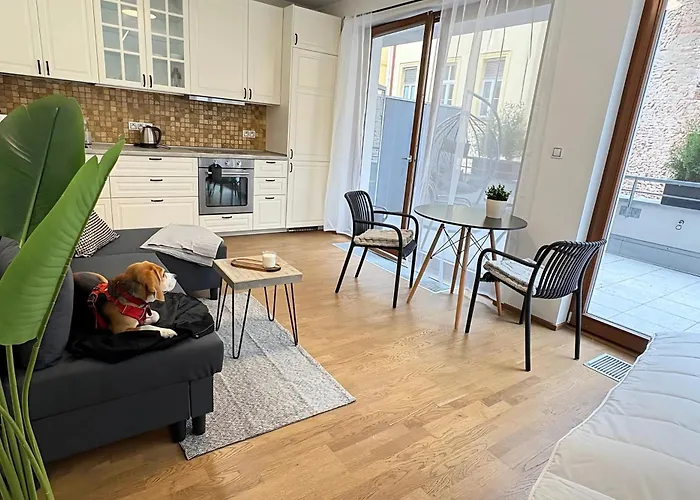Modern With Private Jacuzzi & Terrace Praag