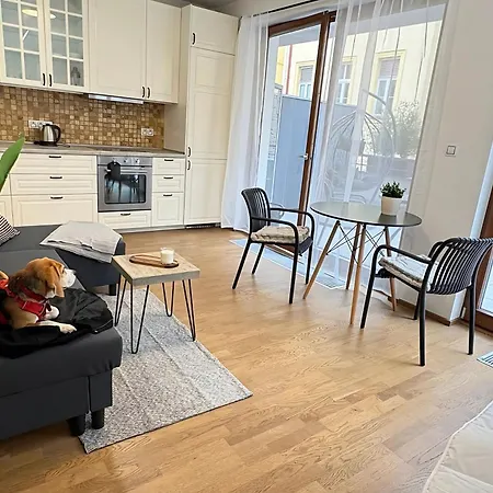 Modern With Spacious Terrace Andel 프라하
